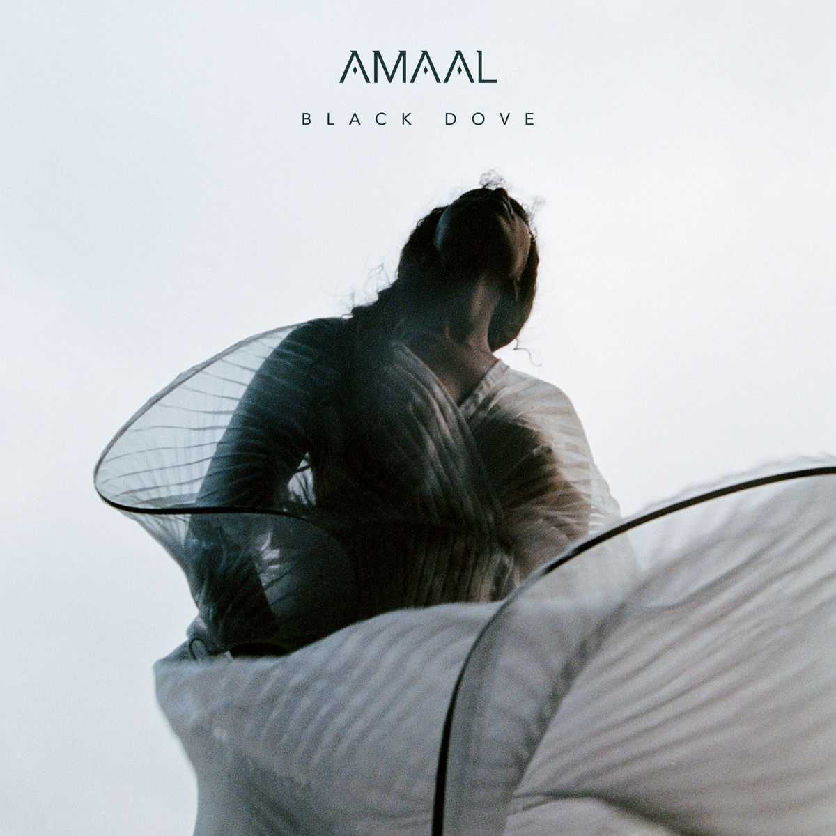 Amaal - Black Dove
